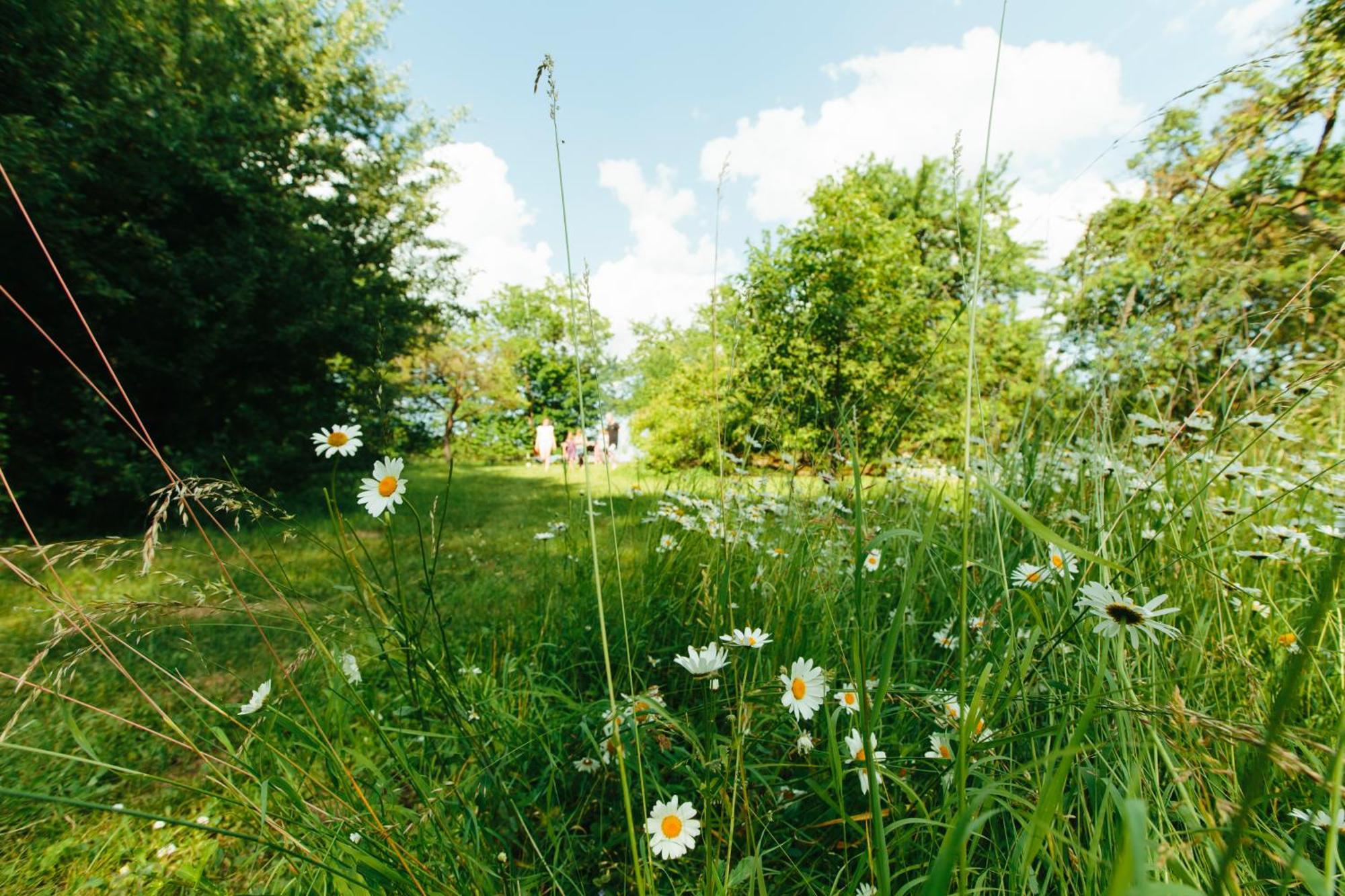 Feriendomizil Alter Garten Temmen-Ringenwalde Extérieur photo