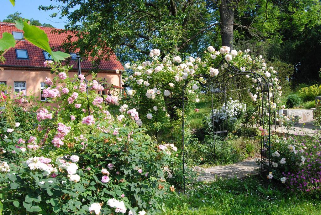 Feriendomizil Alter Garten Temmen-Ringenwalde Extérieur photo