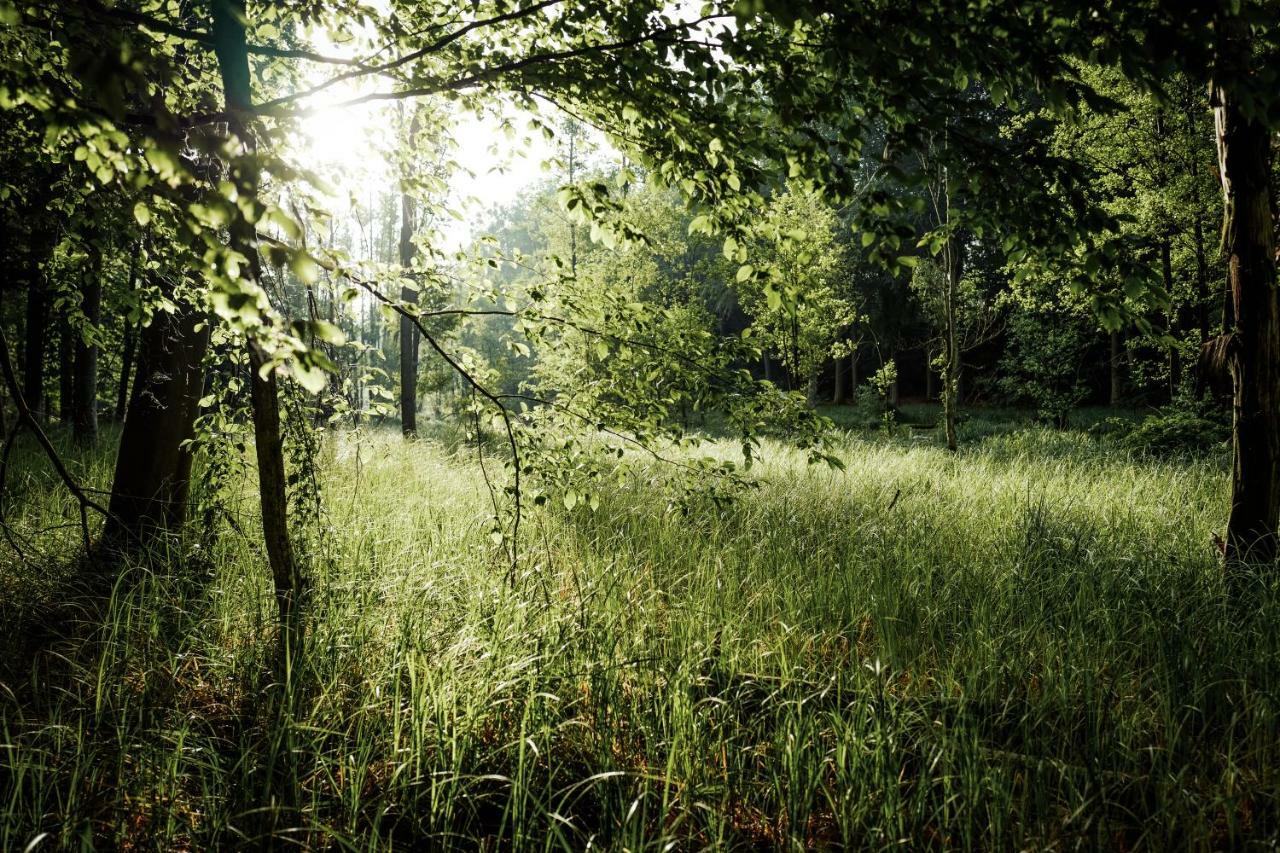 Feriendomizil Alter Garten Temmen-Ringenwalde Extérieur photo